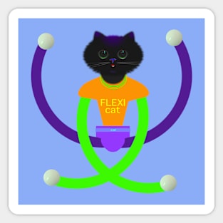 Flexi cat.3. Sticker